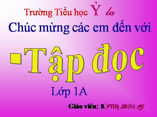 Tuần 10. Cây bàng