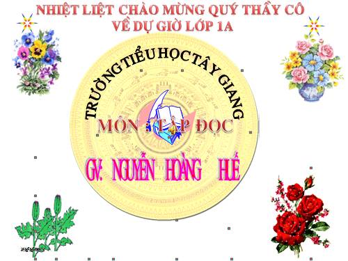 Tuần 5. Quà của bố