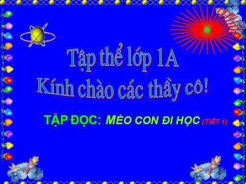 Tuần 7. Mèo con đi học