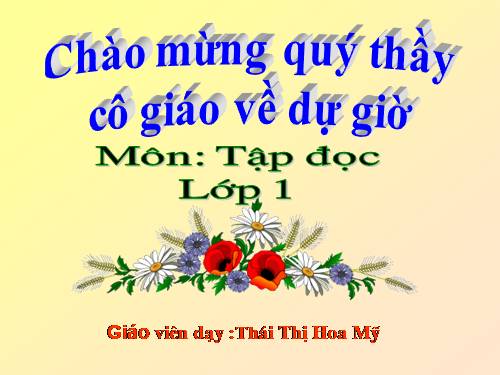 Tuần 10. Cây bàng