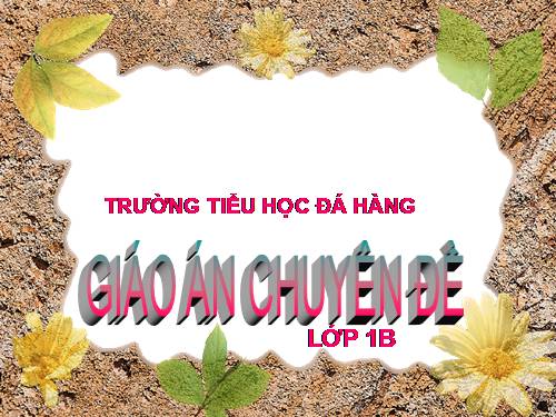 Tuần 2. Bàn tay mẹ