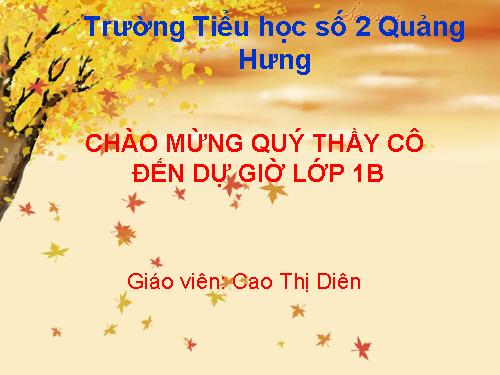 Tuần 10. Cây bàng