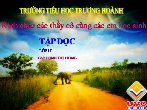 Tuần 9. Luỹ tre