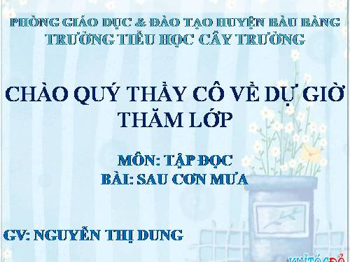 Tuần 9. Sau cơn mưa