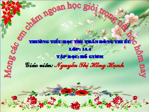 Tuần 9. Hồ Gươm