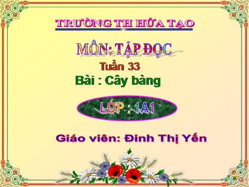 Tuần 10. Cây bàng