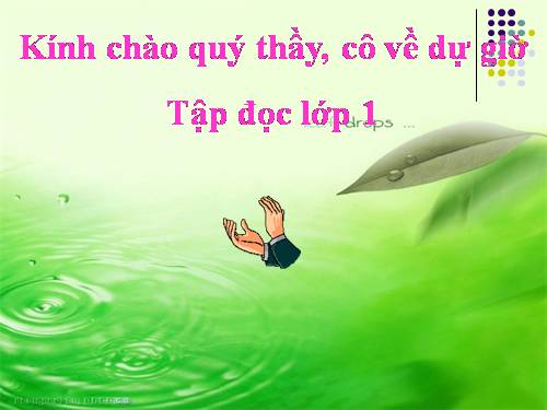 Tuần 7. Mèo con đi học