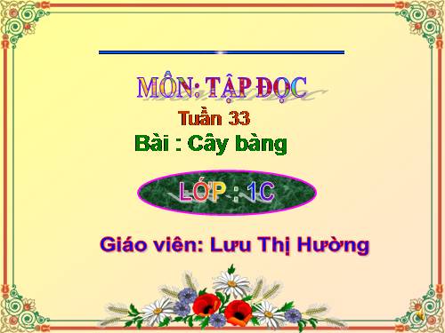 Tuần 10. Cây bàng