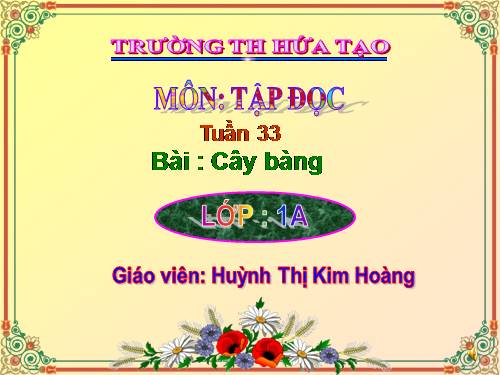 Tuần 10. Cây bàng