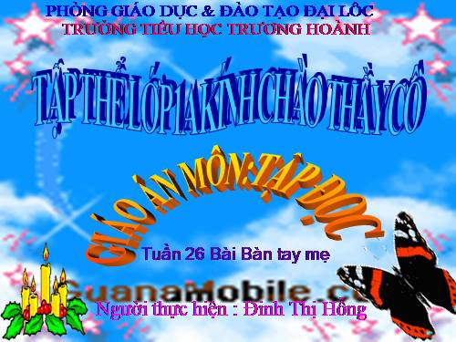 Tuần 2. Bàn tay mẹ