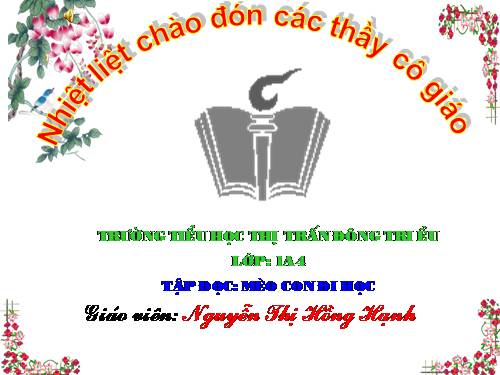 Tuần 7. Mèo con đi học