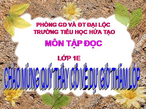 Tuần 2. Bàn tay mẹ