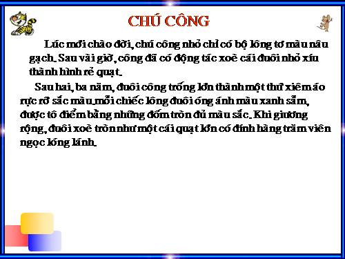 Tuần 6. Chú công