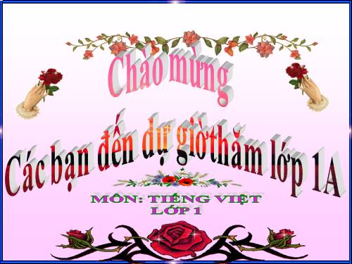 Tuần 8. Hai chị em