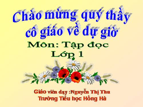 Tuần 10. Cây bàng