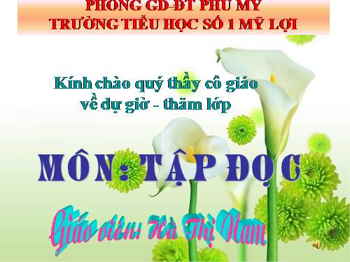 Tuần 3. Hoa ngọc lan