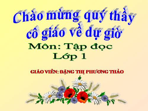 Tuần 10. Cây bàng