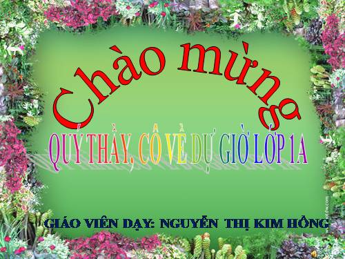 Tuần 5. Vì bây giờ mẹ mới về