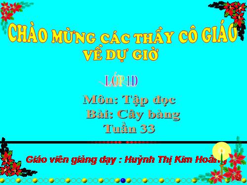 Tuần 10. Cây bàng