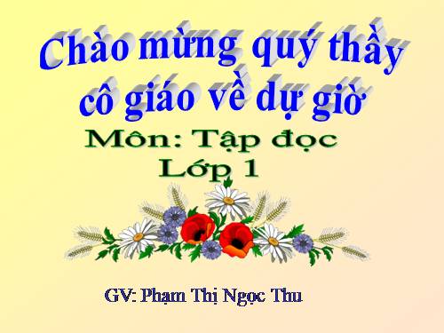 Tuần 10. Cây bàng