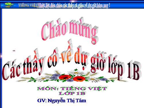 Tuần 9. Hồ Gươm