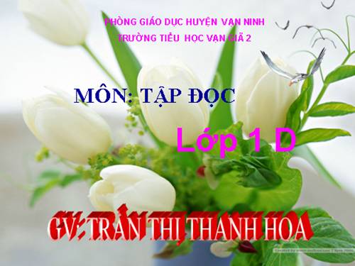 Tuần 5. Quà của bố