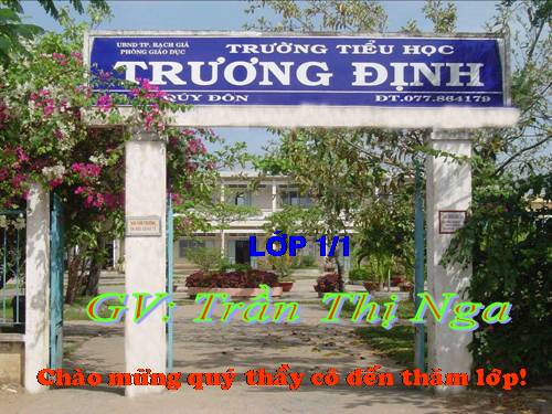 Tuần 7. Mèo con đi học