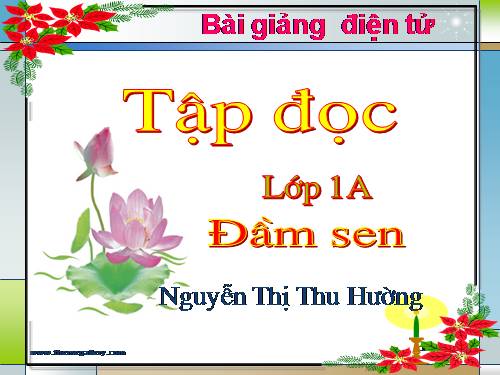 Tuần 6. Đầm sen