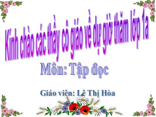 Tuần 7. Mèo con đi học