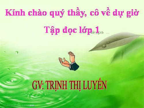 Tuần 7. Mèo con đi học