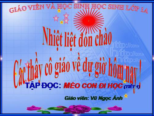 Tuần 7. Mèo con đi học