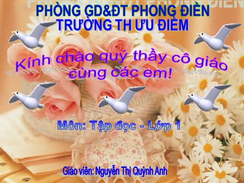 Tuần 7. Chuyện ở lớp