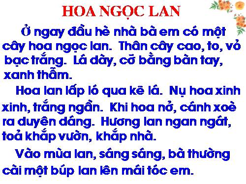 Tuần 3. Hoa ngọc lan