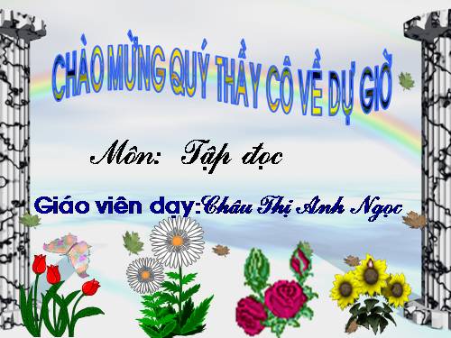 Tuần 7. Mèo con đi học