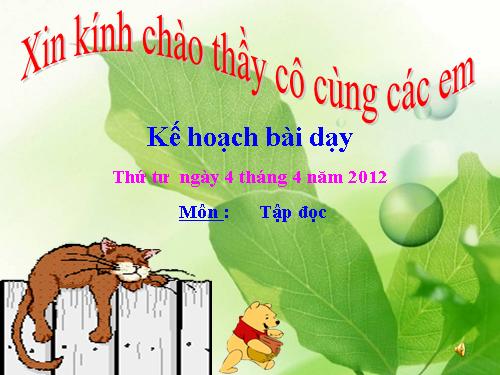 Tuần 7. Mèo con đi học