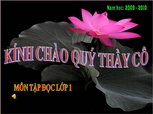 Tuần 8. Kể cho bé nghe