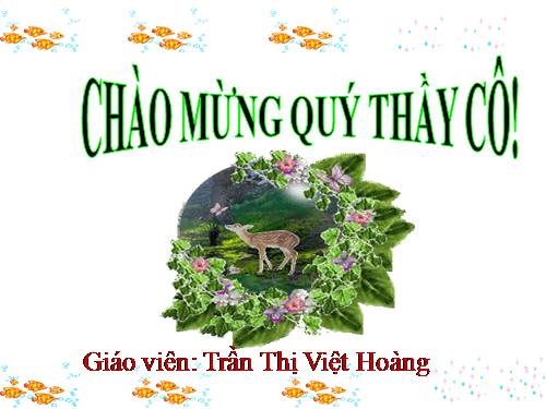 Tuần 7. Mèo con đi học