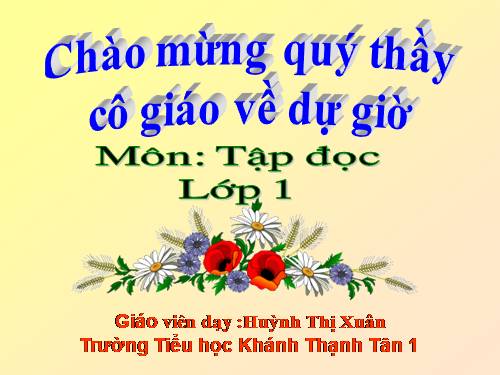 Tuần 10. Cây bàng