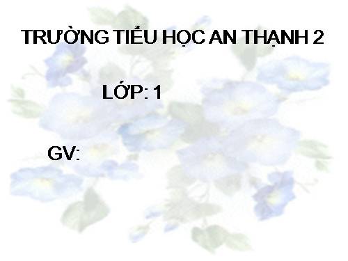 Tuần 10. Cây bàng