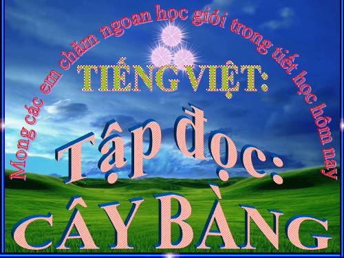 Tuần 10. Cây bàng