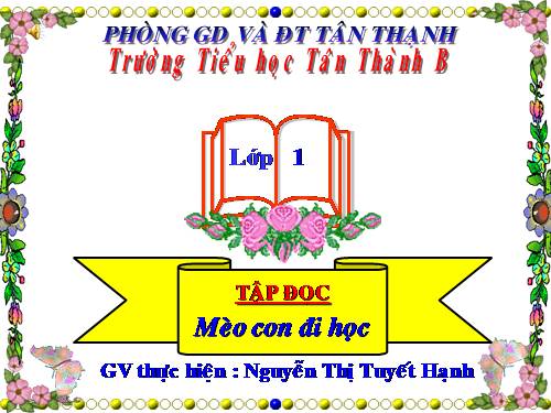 Tuần 7. Mèo con đi học