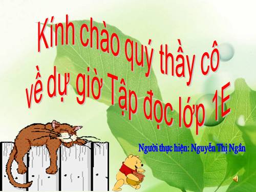 Tuần 7. Mèo con đi học