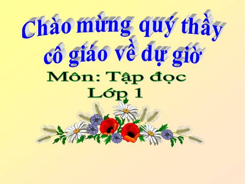 Tuần 10. Cây bàng