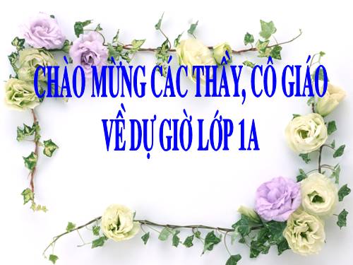 Tuần 3. Ai dậy sớm