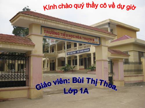 Tuần 7. Mèo con đi học