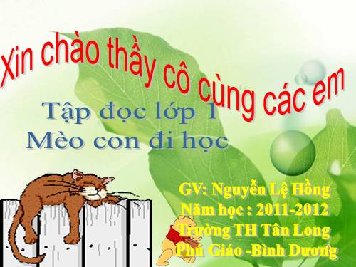 Tuần 7. Mèo con đi học