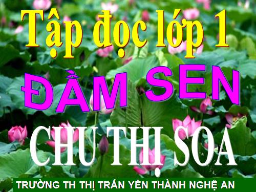 Tuần 6. Đầm sen