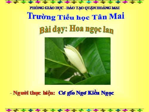 Tuần 3. Hoa ngọc lan