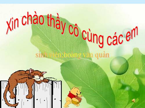 Tuần 7. Mèo con đi học