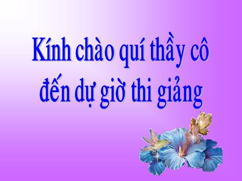 Tuần 6. Mời vào